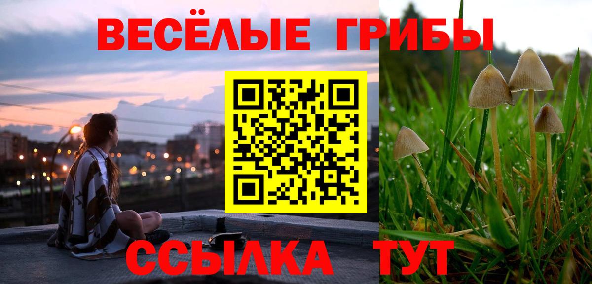 Псилоцибиновые грибы мицелий Уфа